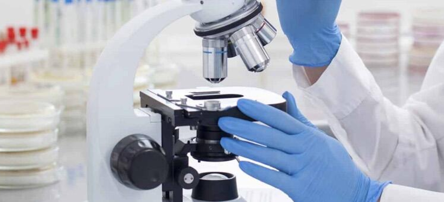 Микроскопическое исследование мазка