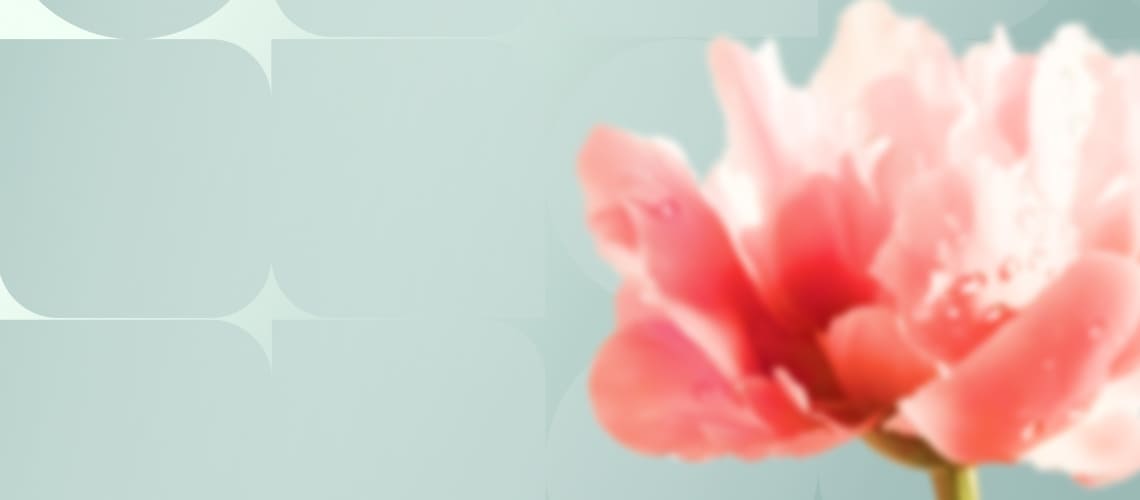 ЛУЧШИЙ ВЕСЕННИЙ ПОДАРОК